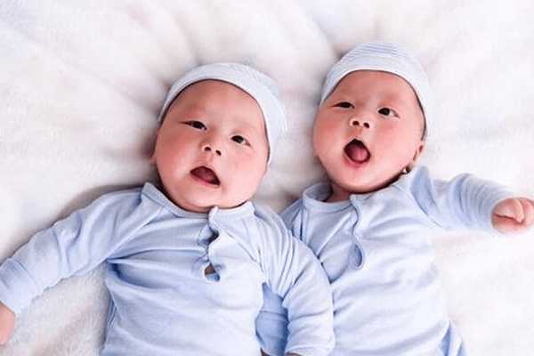 为什么说一个4aa囊胚很容易变双胞胎？